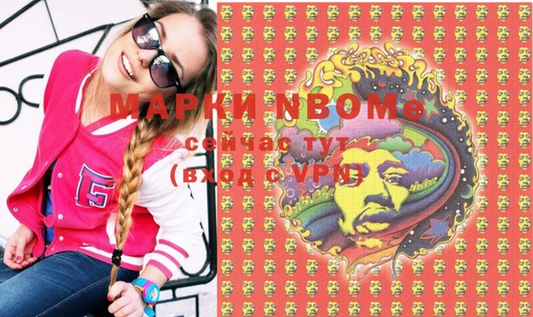 прущие грибы Алзамай