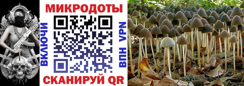 блэк спрут зеркало  Балахна  Галлюциногенные грибы GOLDEN TEACHER 